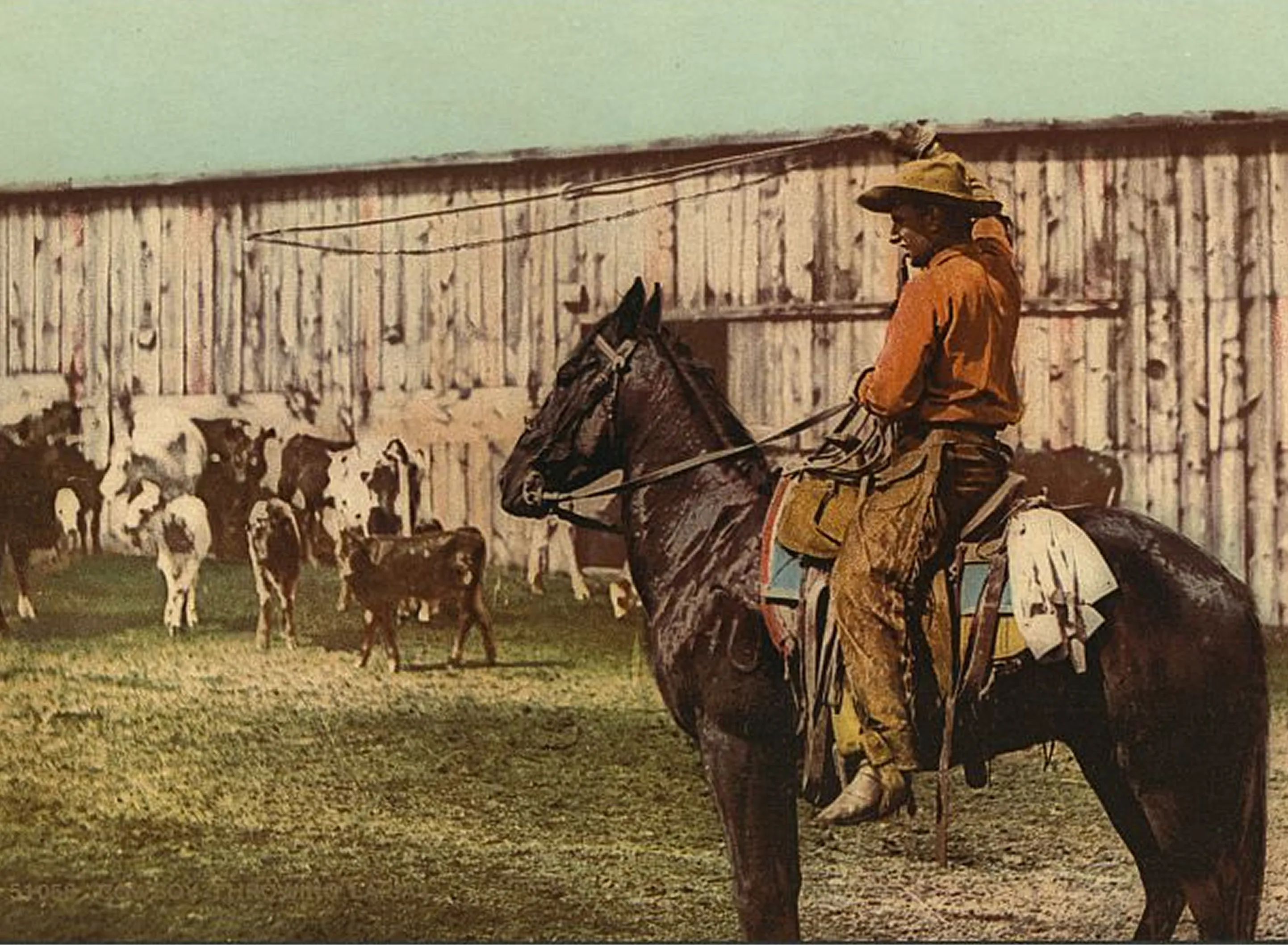 Freedom 250 Great American Rodeo Toolkit